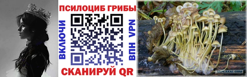 продажа наркотиков  Сорск  Галлюциногенные грибы Magic Shrooms 